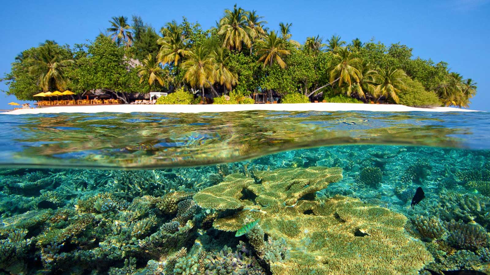 Paradise with a Purpose: Sustainable Tourism in the Maldives