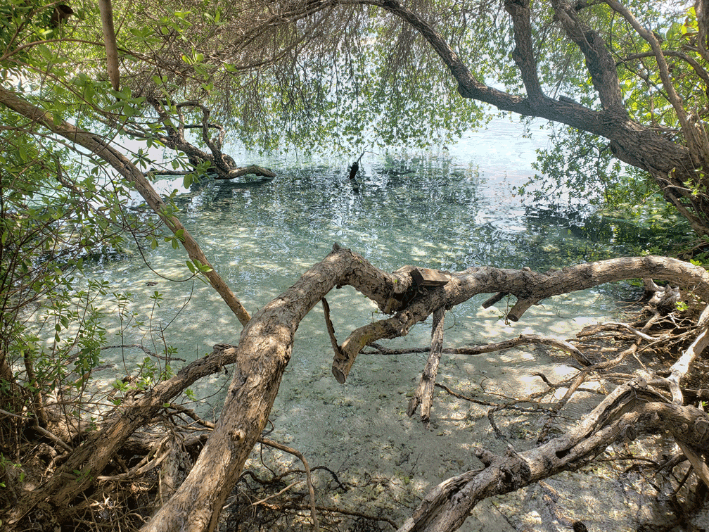 The delights of getting lost: Dream Beach and other secrets of Thulusdhoo