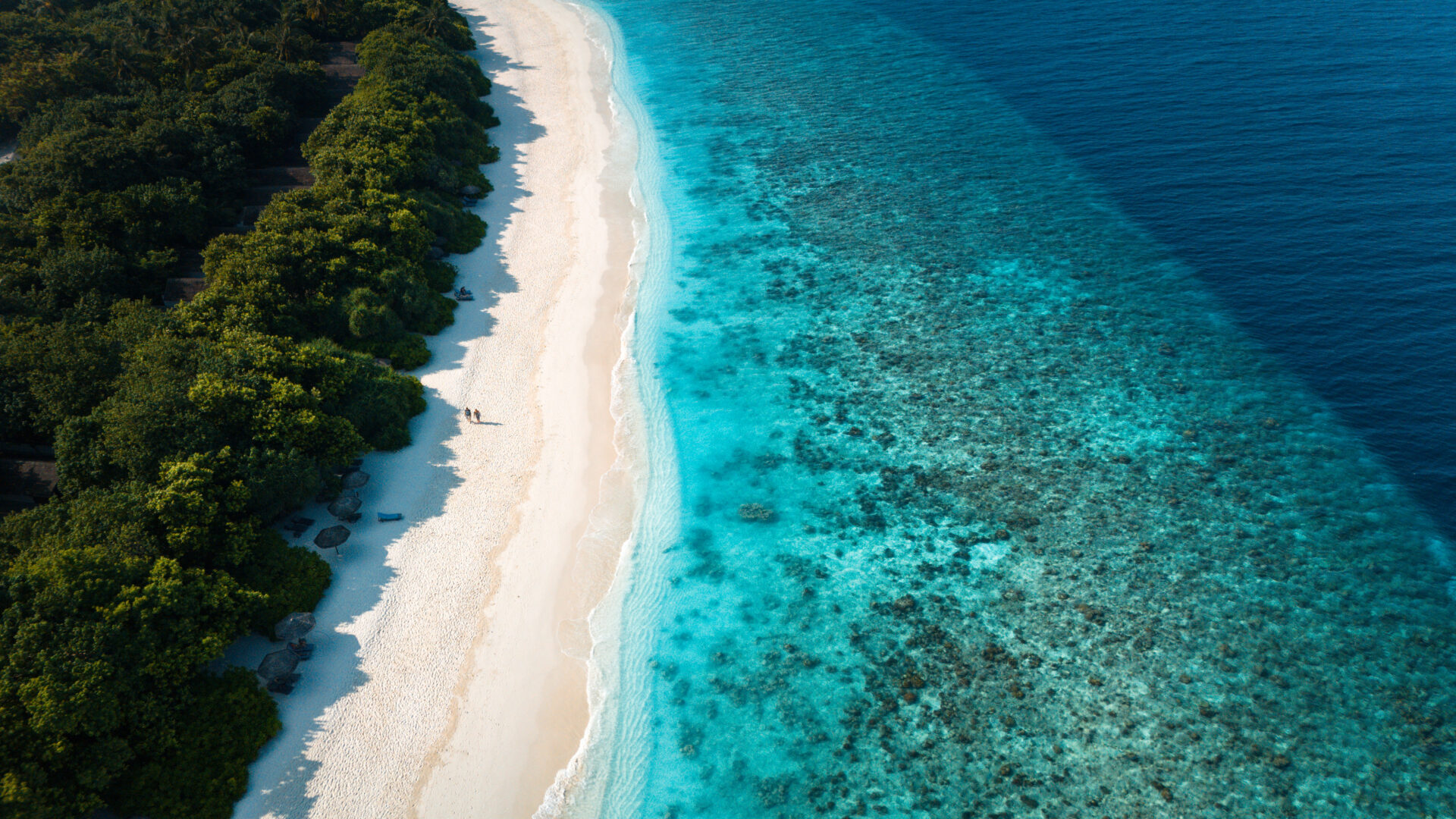 Reethi Beach Resort Theme for 2024 Festive Celebrations “Coral Kingdom Under the Sea”